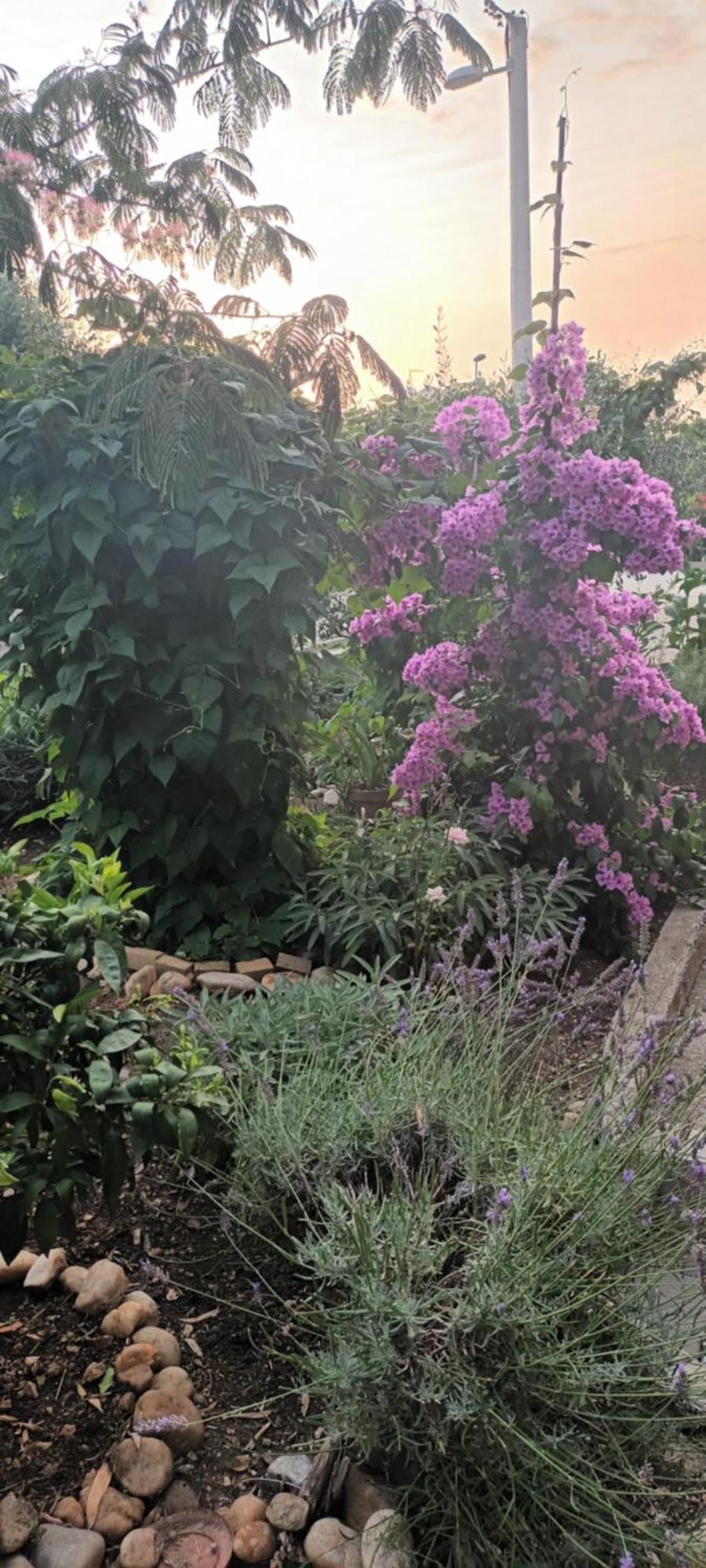 Anna Biograd Na Moru Exterior foto